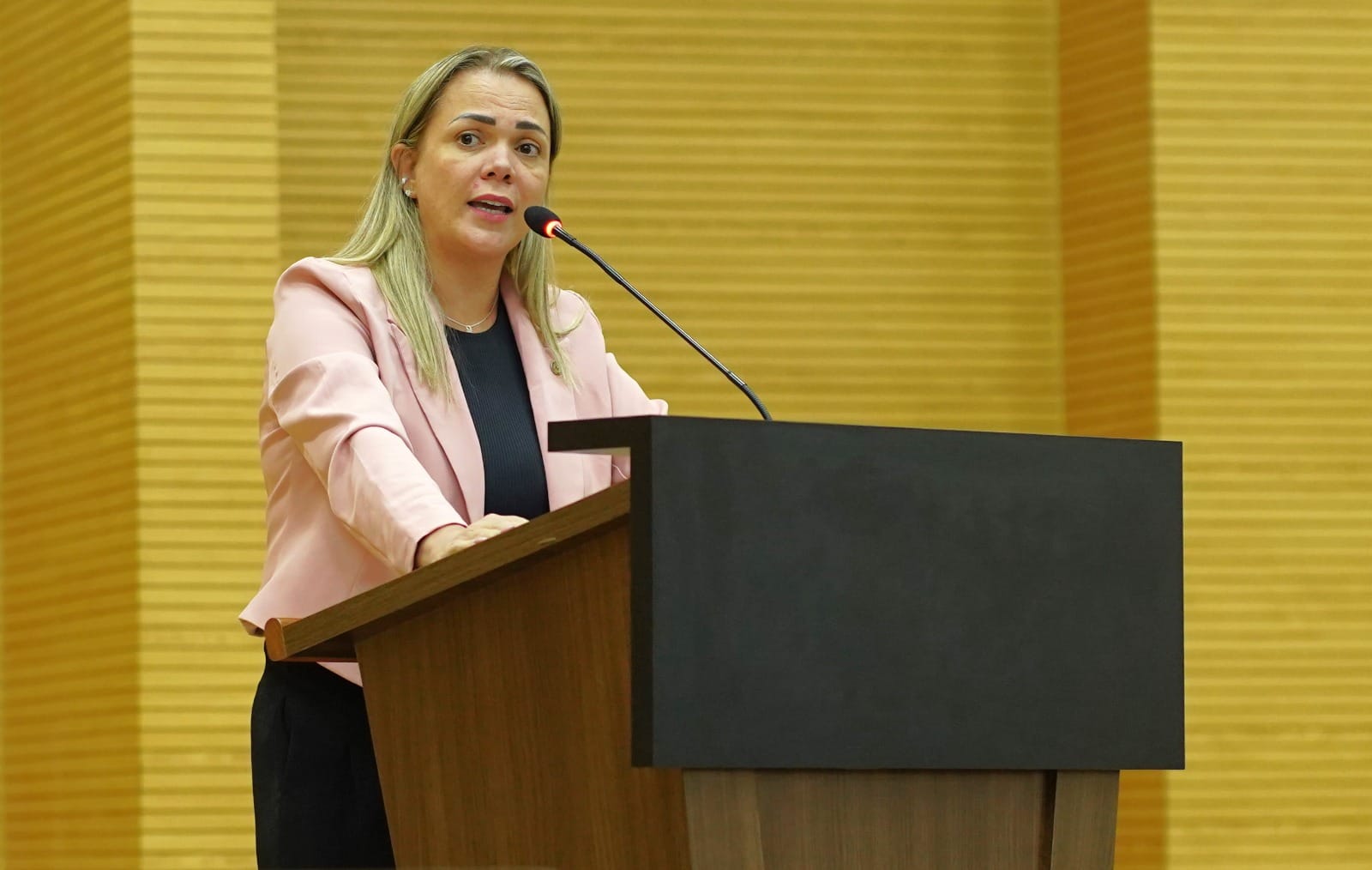 Deputada Cláudia de Jesus solicita redução da burocracia no decreto que regula venda de combustível em galões