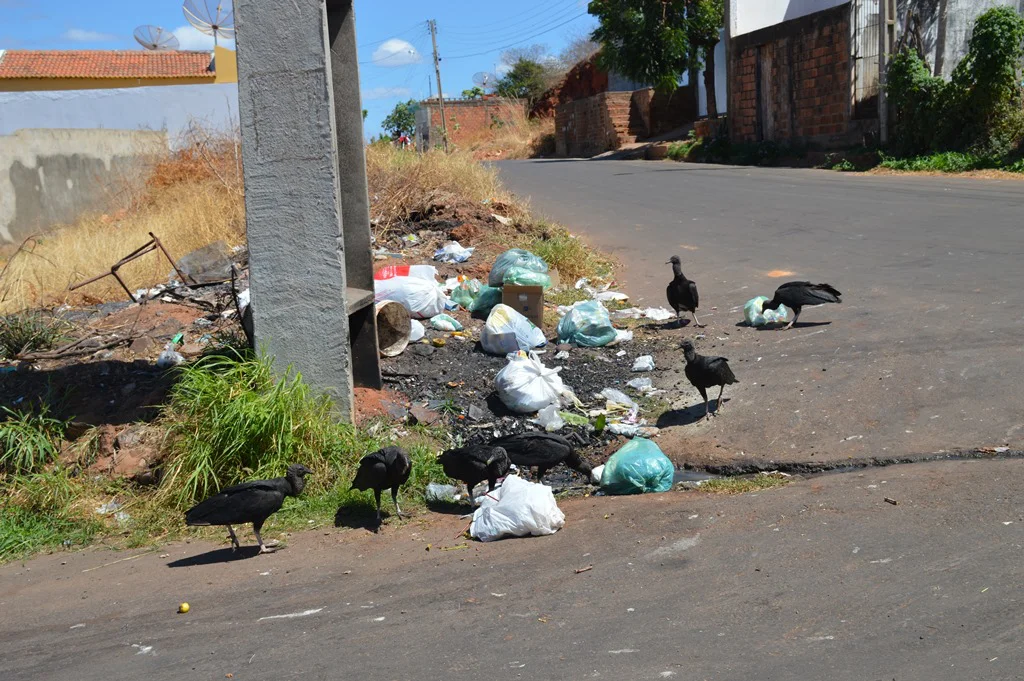 Falha na coleta deixa bairros de Porto Velho e Baixo Madeira tomados por lixo