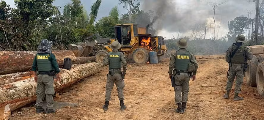 Agentes do Ibama sofrem emboscada em operação contra extração ilegal na Terra Indígena Tenharim-Marmelos no Amazonas