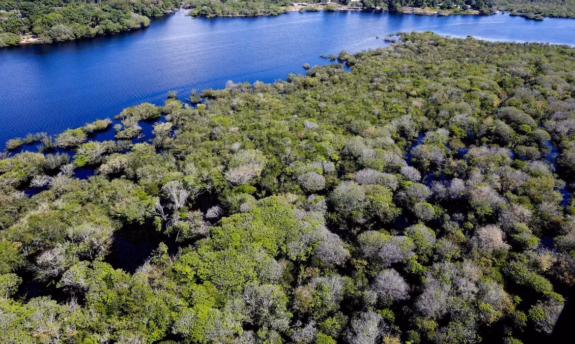 Alertas de desmatamento na Amazônia caem 35% em junho