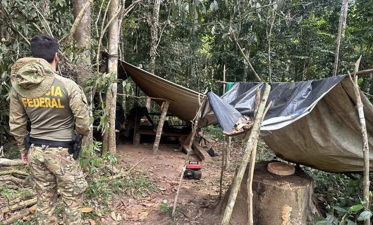 Duas serrarias móveis são encontradas em área de exploração ilegal dentro de terra indígena